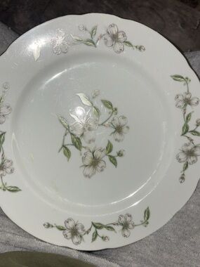 Floral Porcelain Dinner Plate in White and Green st of 6
